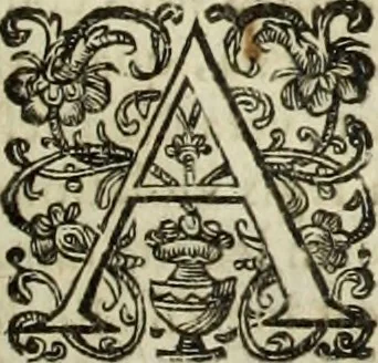 An illustration from R.P.D. Antoninus Diana Panormitanus ... Coordinatus, seu, Omnes resolutiones morales : eius ipsissimis verbis ad propria loca, & materias fideliter dispositae, ac distributae .., 1680, leaf 218