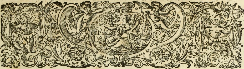 An illustration from R.P.D. Antoninus Diana Panormitanus ... Coordinatus, seu, Omnes resolutiones morales : eius ipsissimis verbis ad propria loca, & materias fideliter dispositae, ac distributae .., 1680, leaf 54