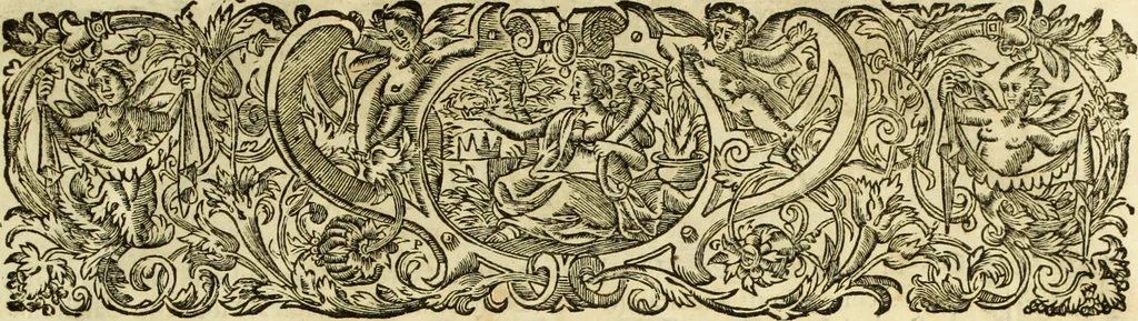 An illustration from R.P.D. Antoninus Diana Panormitanus ... Coordinatus, seu, Omnes resolutiones morales : eius ipsissimis verbis ad propria loca, & materias fideliter dispositae, ac distributae .., 1680, leaf 6
