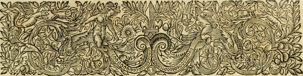 An illustration from R.P.D. Antoninus Diana Panormitanus ... Coordinatus, seu, Omnes resolutiones morales : eius ipsissimis verbis ad propria loca, & materias fideliter dispositae, ac distributae .., 1680, leaf 8