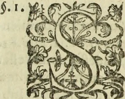 An illustration from R.P.D. Antoninus Diana Panormitanus ... Coordinatus, seu, Omnes resolutiones morales : eius ipsissimis verbis ad propria loca, & materias fideliter dispositae, ac distributae .., 1680, leaf 324
