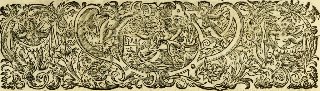 An illustration from R.P.D. Antoninus Diana Panormitanus ... Coordinatus, seu, Omnes resolutiones morales : eius ipsissimis verbis ad propria loca, & materias fideliter dispositae, ac distributae .., 1680, leaf 6