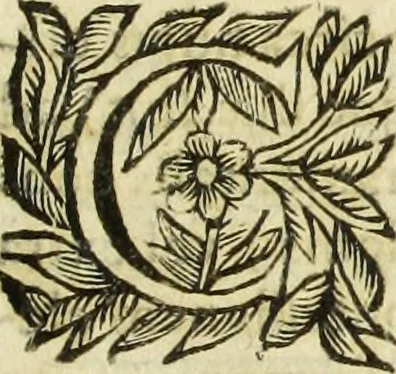 An illustration from R.P.D. Antoninus Diana Panormitanus ... Coordinatus, seu, Omnes resolutiones morales : eius ipsissimis verbis ad propria loca, & materias fideliter dispositae, ac distributae .., 1680, leaf 608