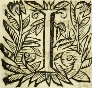 An illustration from R.P.D. Antoninus Diana Panormitanus ... Coordinatus, seu, Omnes resolutiones morales : eius ipsissimis verbis ad propria loca, & materias fideliter dispositae, ac distributae .., 1680, leaf 608