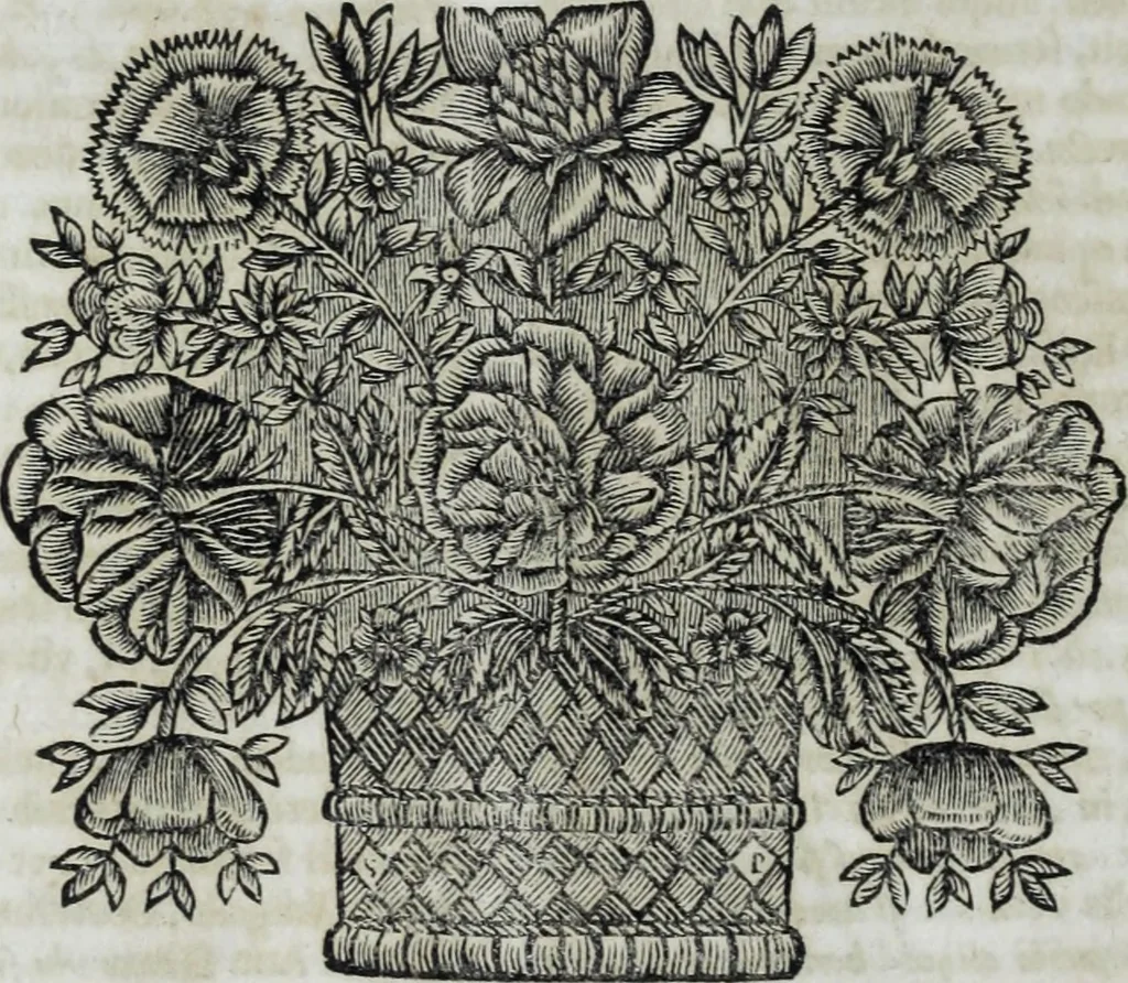 An illustration from R.P.D. Antoninus Diana Panormitanus ... Coordinatus, seu, Omnes resolutiones morales : eius ipsissimis verbis ad propria loca, & materias fideliter dispositae, ac distributae .., 1680, leaf 541