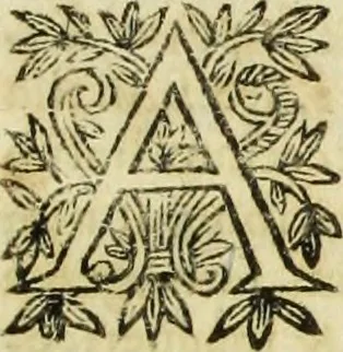 An illustration from R.P.D. Antoninus Diana Panormitanus ... Coordinatus, seu, Omnes resolutiones morales : eius ipsissimis verbis ad propria loca, & materias fideliter dispositae, ac distributae .., 1680, leaf 56
