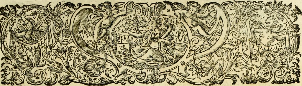 An illustration from R.P.D. Antoninus Diana Panormitanus ... Coordinatus, seu, Omnes resolutiones morales : eius ipsissimis verbis ad propria loca, & materias fideliter dispositae, ac distributae .., 1680, leaf 6