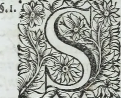 An illustration from R.P.D. Antoninus Diana Panormitanus ... Coordinatus, seu, Omnes resolutiones morales : eius ipsissimis verbis ad propria loca, & materias fideliter dispositae, ac distributae .., 1680, leaf 435