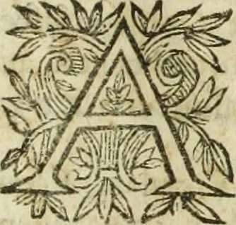 An illustration from R.P.D. Antoninus Diana Panormitanus ... Coordinatus, seu, Omnes resolutiones morales : eius ipsissimis verbis ad propria loca, & materias fideliter dispositae, ac distributae .., 1680, leaf 508