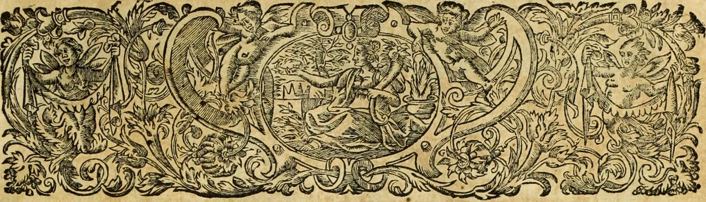 An illustration from R.P.D. Antoninus Diana Panormitanus ... Coordinatus, seu, Omnes resolutiones morales : eius ipsissimis verbis ad propria loca, & materias fideliter dispositae, ac distributae .., 1680, leaf 6