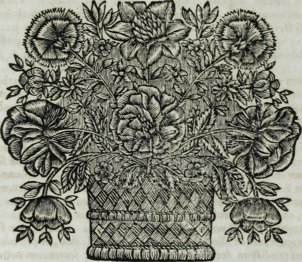 An illustration from R.P.D. Antoninus Diana Panormitanus ... Coordinatus, seu, Omnes resolutiones morales : eius ipsissimis verbis ad propria loca, & materias fideliter dispositae, ac distributae .., 1680, leaf 271