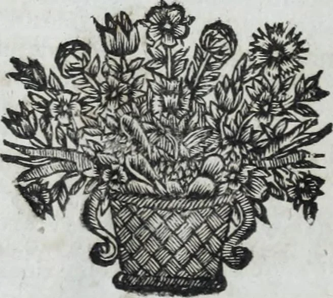 An illustration from R.P.D. Antoninus Diana Panormitanus ... Coordinatus, seu, Omnes resolutiones morales : eius ipsissimis verbis ad propria loca, & materias fideliter dispositae, ac distributae .., 1680, leaf 551
