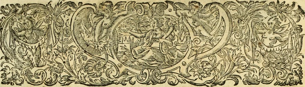 An illustration from R.P.D. Antoninus Diana Panormitanus ... Coordinatus, seu, Omnes resolutiones morales : eius ipsissimis verbis ad propria loca, & materias fideliter dispositae, ac distributae .., 1680, leaf 8