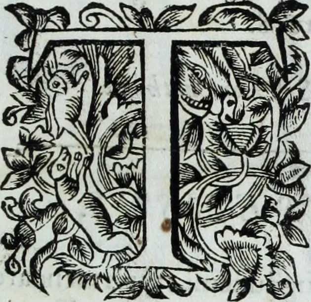 An illustration from R.P.D. Antoninus Diana Panormitanus ... Coordinatus, seu, Omnes resolutiones morales : eius ipsissimis verbis ad propria loca, & materias fideliter dispositae, ac distributae .., 1680, leaf 6