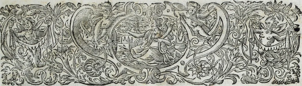 An illustration from R.P.D. Antoninus Diana Panormitanus ... Coordinatus, seu, Omnes resolutiones morales : eius ipsissimis verbis ad propria loca, & materias fideliter dispositae, ac distributae .., 1680, leaf 8