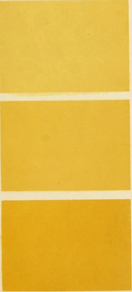 An illustration from Répertoire de couleurs pour aider à la détermination des couleurs des fleurs, des feuillages et des fruits, 1905, leaf 168