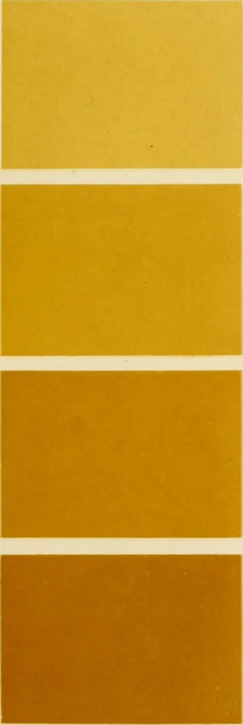 An illustration from Répertoire de couleurs pour aider à la détermination des couleurs des fleurs, des feuillages et des fruits, 1905, leaf 170