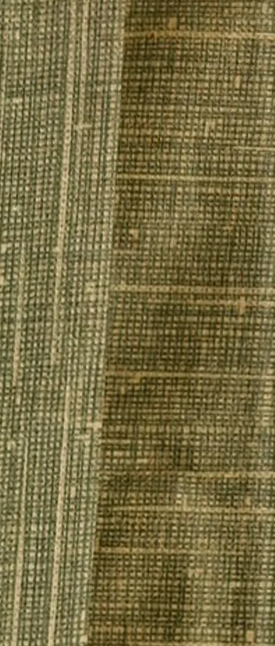 An illustration from Répertoire de couleurs pour aider à la détermination des couleurs des fleurs, des feuillages et des fruits, 1905, leaf 472