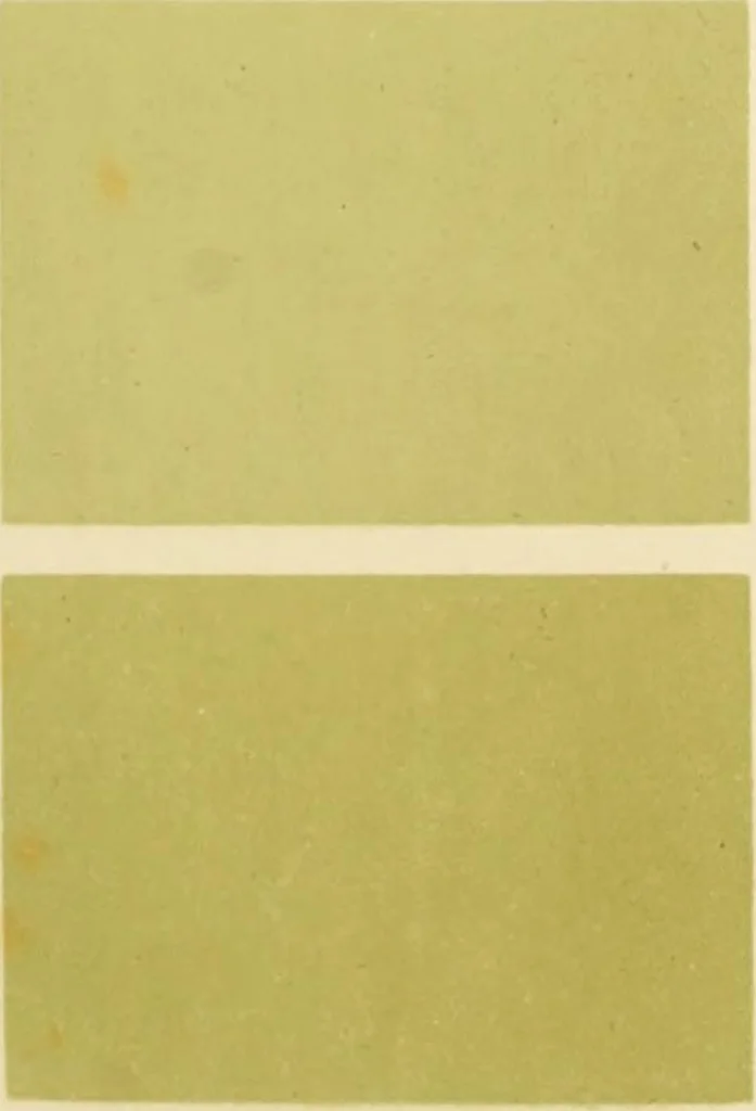 An illustration from Répertoire de couleurs pour aider à la détermination des couleurs des fleurs, des feuillages et des fruits, 1905, leaf 144