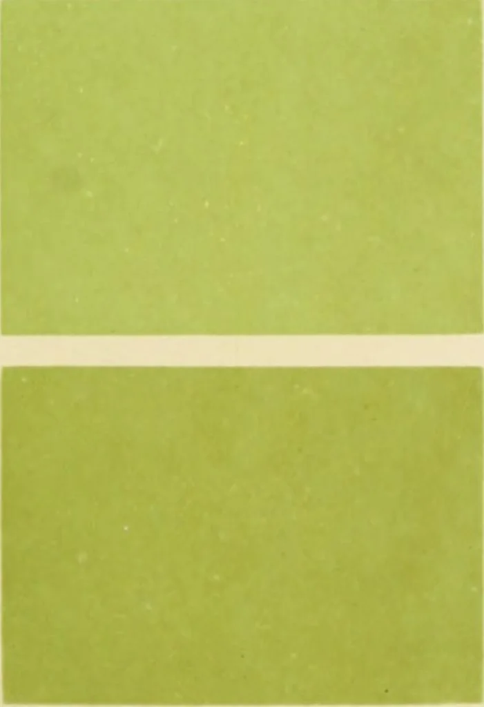 An illustration from Répertoire de couleurs pour aider à la détermination des couleurs des fleurs, des feuillages et des fruits, 1905, leaf 156