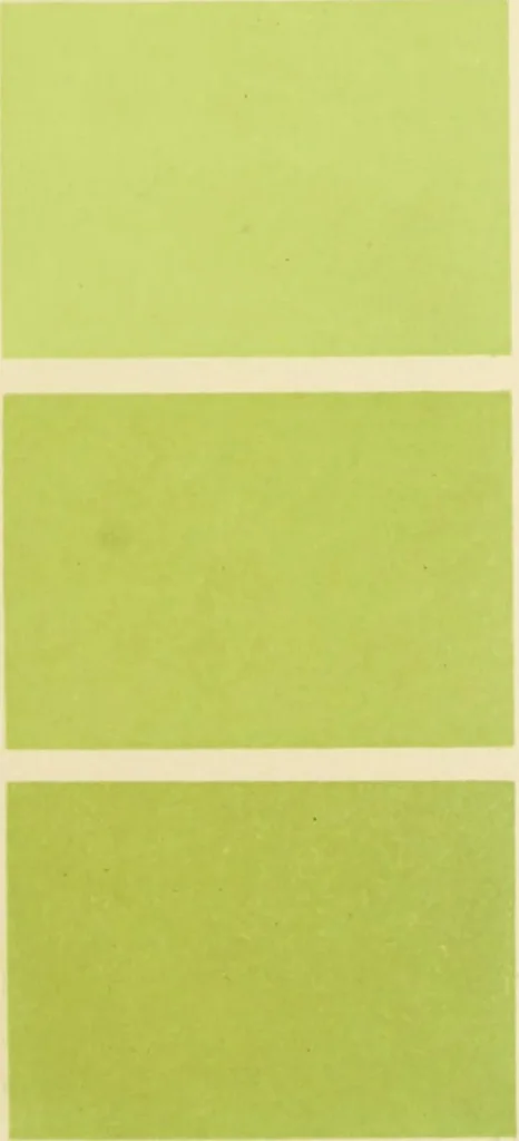 An illustration from Répertoire de couleurs pour aider à la détermination des couleurs des fleurs, des feuillages et des fruits, 1905, leaf 160