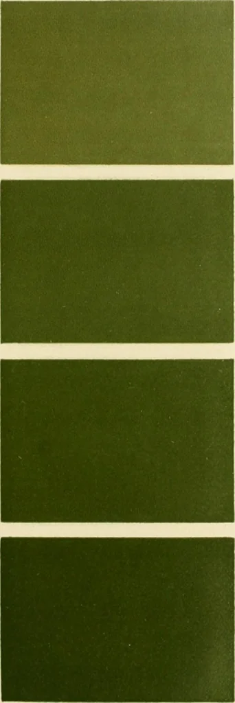 An illustration from Répertoire de couleurs pour aider à la détermination des couleurs des fleurs, des feuillages et des fruits, 1905, leaf 202