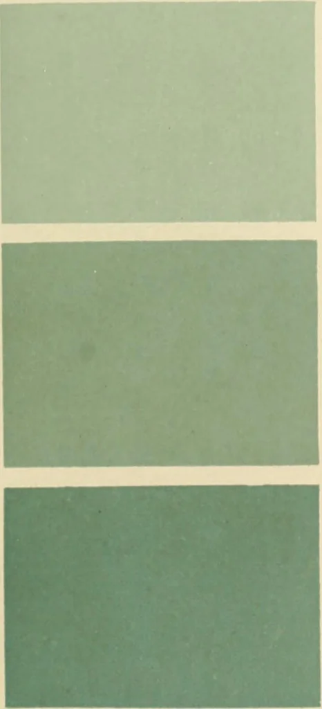 An illustration from Répertoire de couleurs pour aider à la détermination des couleurs des fleurs, des feuillages et des fruits, 1905, leaf 76