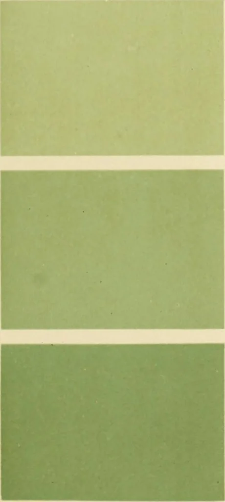 An illustration from Répertoire de couleurs pour aider à la détermination des couleurs des fleurs, des feuillages et des fruits, 1905, leaf 86