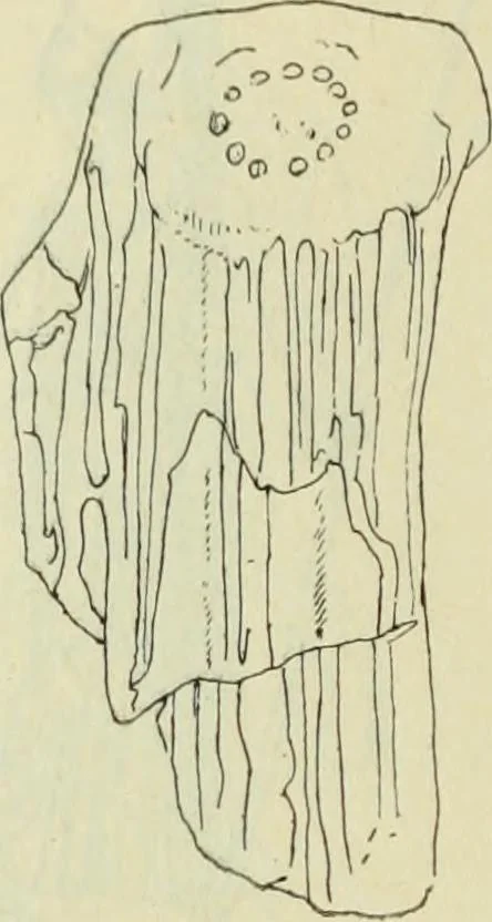 An illustration from Répertoire de la statuaire grecque et romaine, 1908, leaf 197