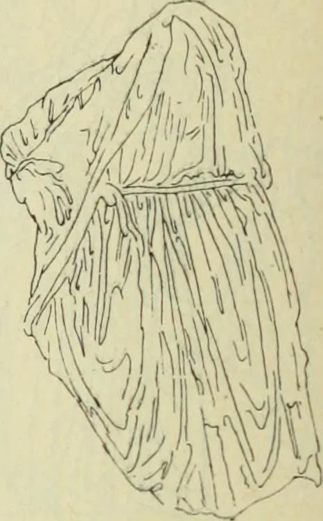 An illustration from Répertoire de la statuaire grecque et romaine, 1908, leaf 197