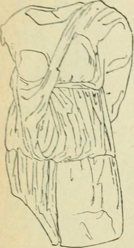 An illustration from Répertoire de la statuaire grecque et romaine, 1908, leaf 213