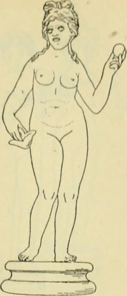 An illustration from Répertoire de la statuaire grecque et romaine, 1908, leaf 232