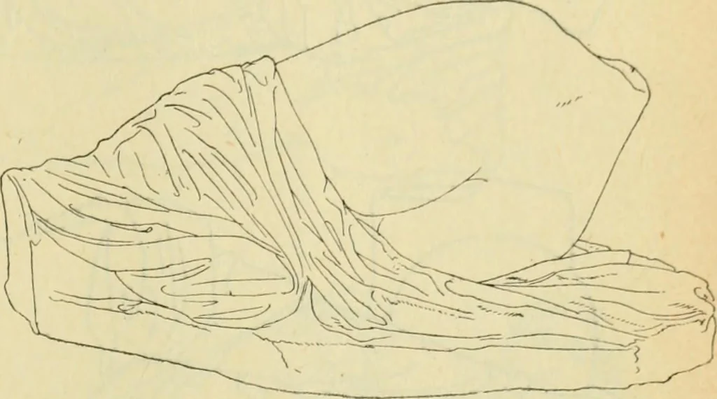 An illustration from Répertoire de la statuaire grecque et romaine, 1908, leaf 268