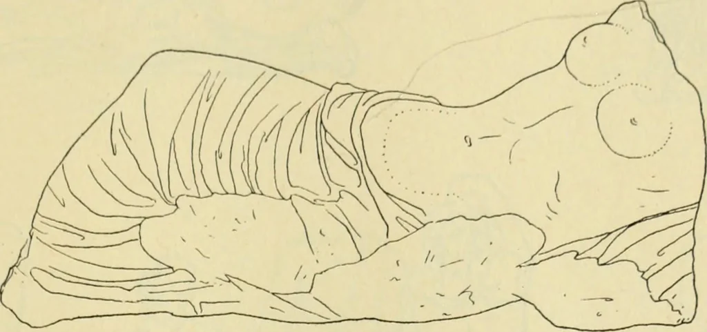 An illustration from Répertoire de la statuaire grecque et romaine, 1908, leaf 270