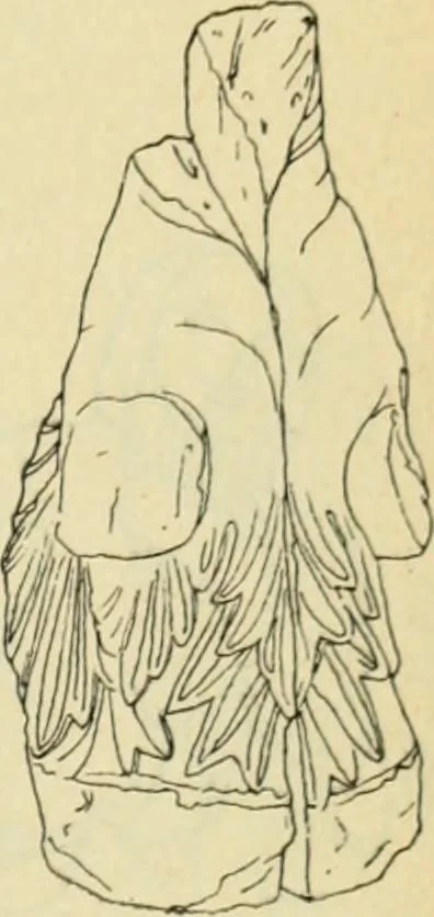 An illustration from Répertoire de la statuaire grecque et romaine, 1908, leaf 272