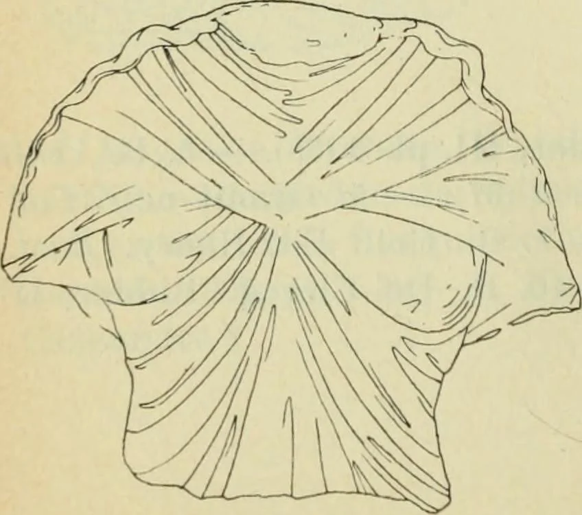 An illustration from Répertoire de la statuaire grecque et romaine, 1908, leaf 277