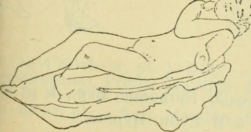 An illustration from Répertoire de la statuaire grecque et romaine, 1908, leaf 322