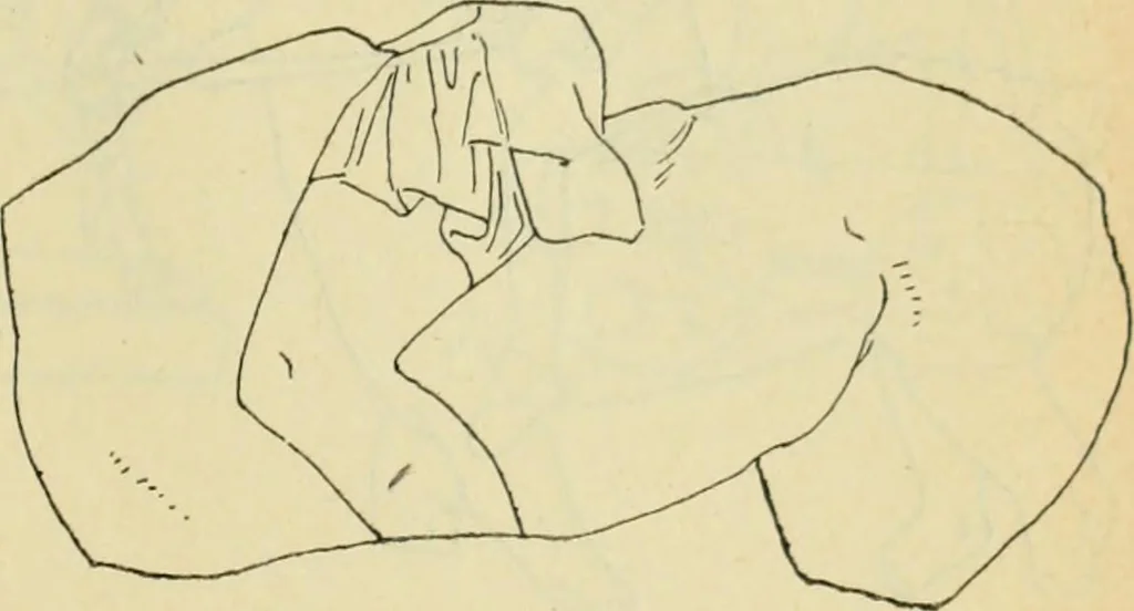 An illustration from Répertoire de la statuaire grecque et romaine, 1908, leaf 360