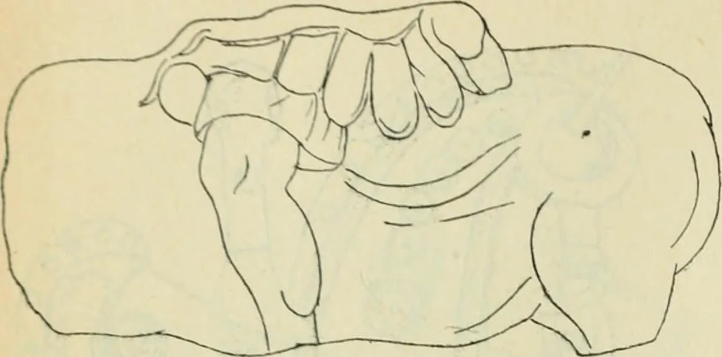 An illustration from Répertoire de la statuaire grecque et romaine, 1908, leaf 363