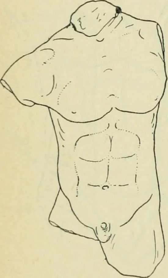 An illustration from Répertoire de la statuaire grecque et romaine, 1908, leaf 401
