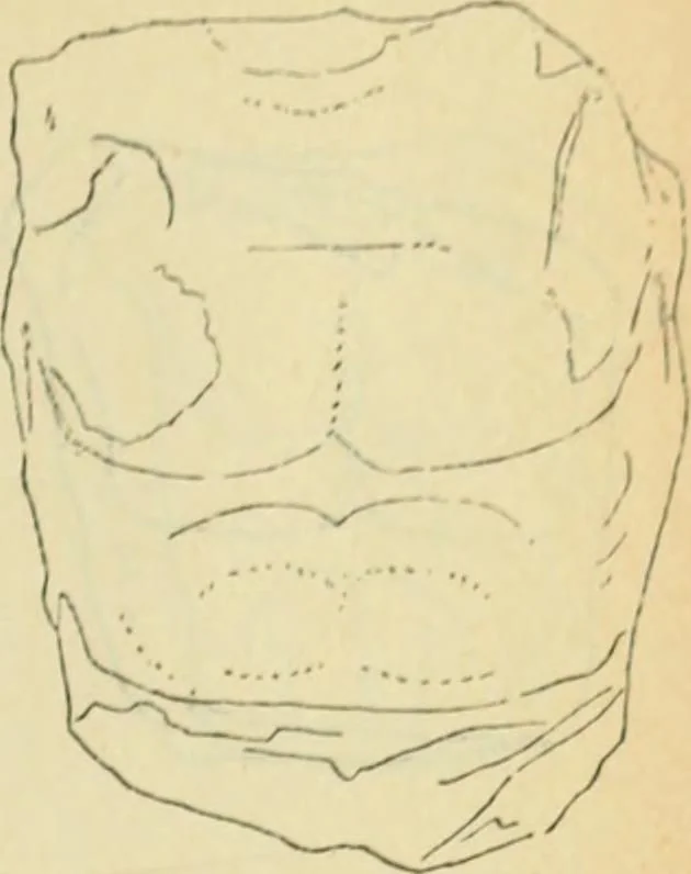 An illustration from Répertoire de la statuaire grecque et romaine, 1908, leaf 404