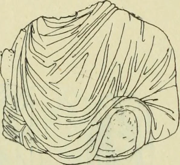 An illustration from Répertoire de la statuaire grecque et romaine, 1908, leaf 417