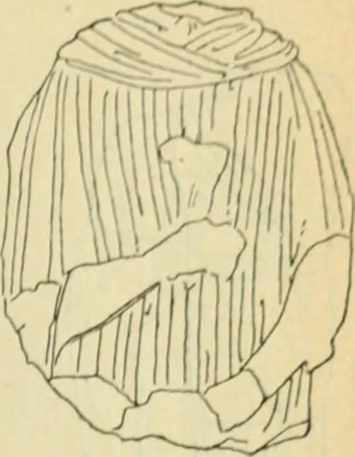 An illustration from Répertoire de la statuaire grecque et romaine, 1908, leaf 418