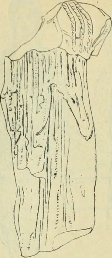 An illustration from Répertoire de la statuaire grecque et romaine, 1908, leaf 425