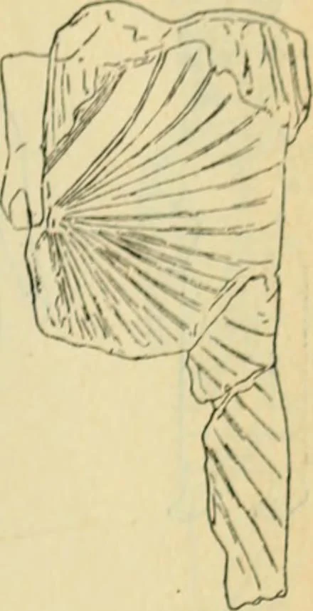An illustration from Répertoire de la statuaire grecque et romaine, 1908, leaf 426