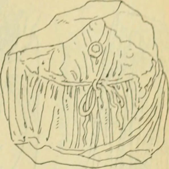 An illustration from Répertoire de la statuaire grecque et romaine, 1908, leaf 450