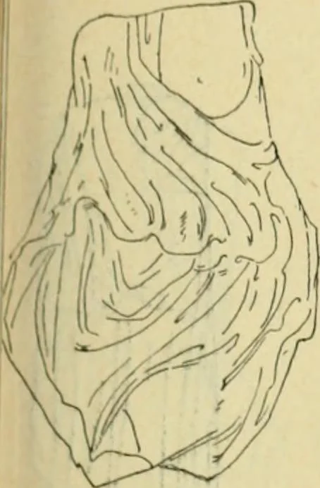An illustration from Répertoire de la statuaire grecque et romaine, 1908, leaf 450