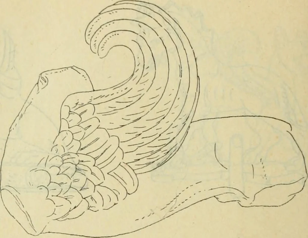 An illustration from Répertoire de la statuaire grecque et romaine, 1908, leaf 467
