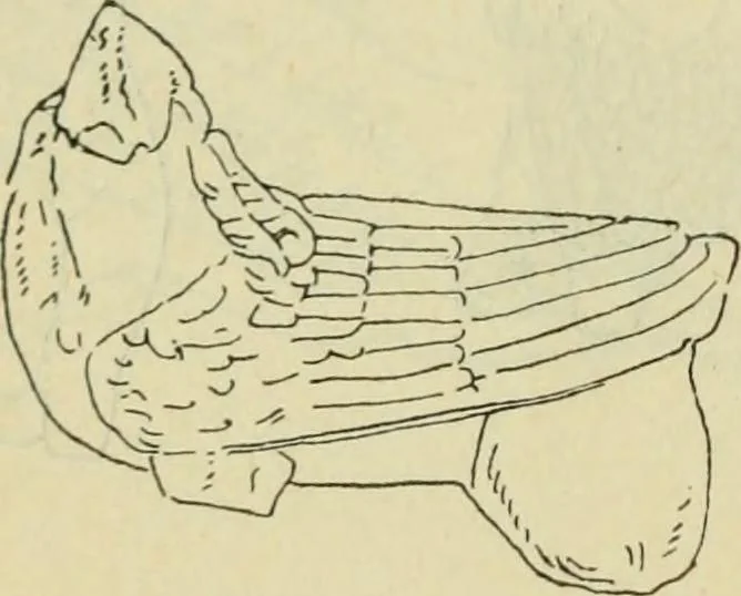 An illustration from Répertoire de la statuaire grecque et romaine, 1908, leaf 469