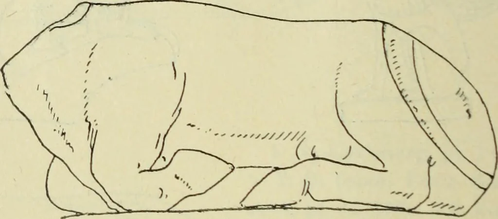 An illustration from Répertoire de la statuaire grecque et romaine, 1908, leaf 473